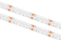 COB 24V IP20 RGB + CCT